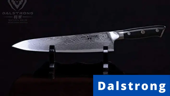 DALSTRONG Chef's Knife - 9.5" - Shogun Series